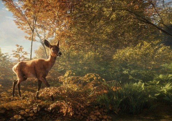 theHunter: Call of the Wild - Master Hunter Bundle Argentina screenshot 2