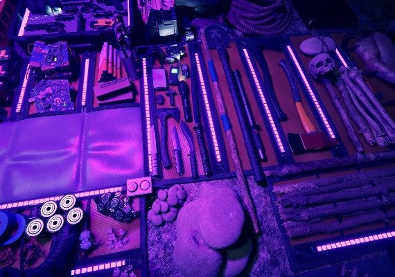 Sons Of The Forest EU screenshot 3