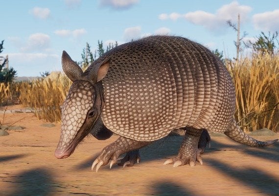 Planet Zoo - Grasslands Animal Pack DLC EU screenshot 2