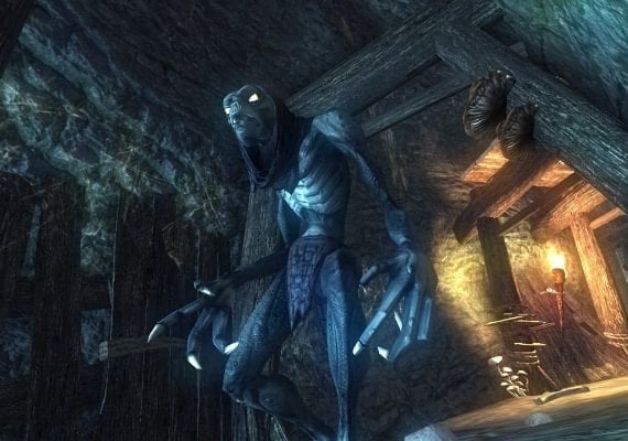 Risen 1 EN/DE/FR/IT/ES Global screenshot 3