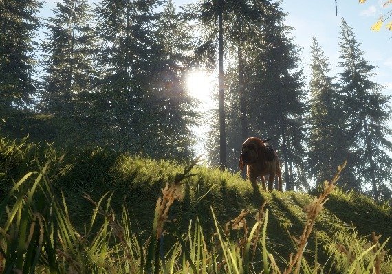 theHunter: Call of the Wild - Essentials Bundle DLC Argentina screenshot 3
