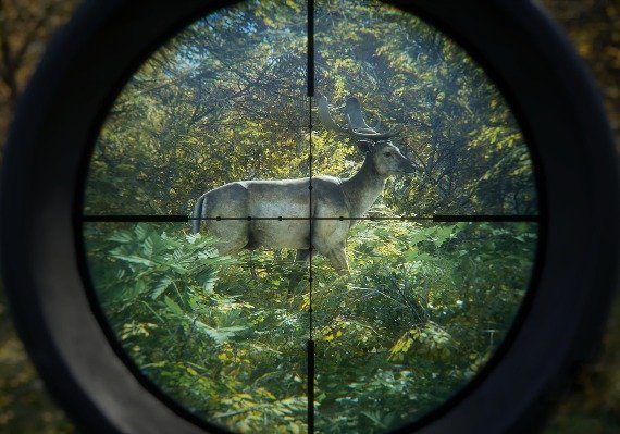 theHunter: Call of the Wild - Greenhorn Bundle Global screenshot 4