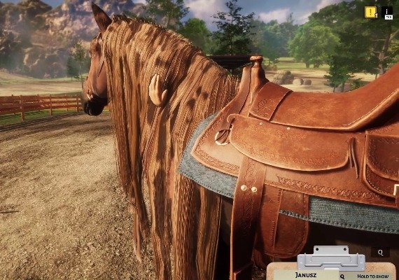 Animal Shelter: Horse Shelter DLC Global screenshot 2