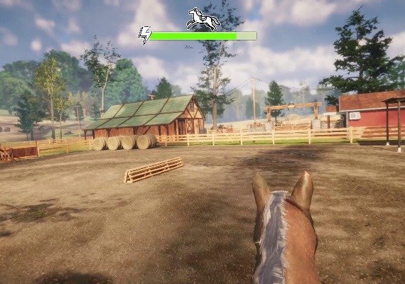 Animal Shelter: Horse Shelter DLC Global screenshot 3