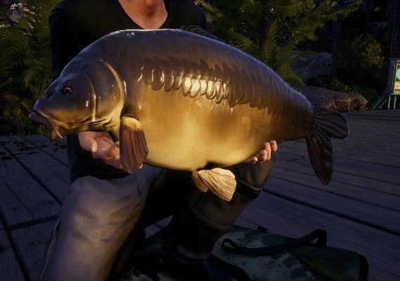 Euro Fishing - Waldsee DLC EN/DE/FR/PL/RU Global screenshot 3