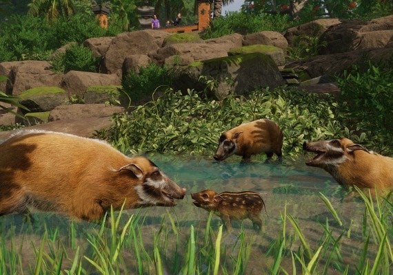 Planet Zoo - Tropical Pack DLC Global screenshot 2