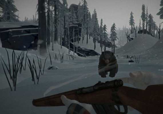 The Long Dark: Tales from the Far Territory EN Argentina screenshot 4