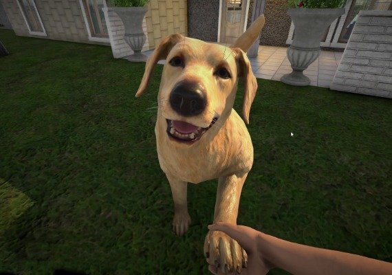 Pets Hotel Global screenshot 2