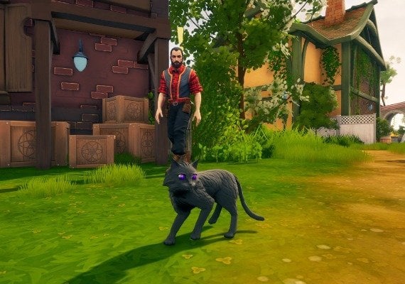 The Witch of Fern Island EN/PL Global screenshot 3