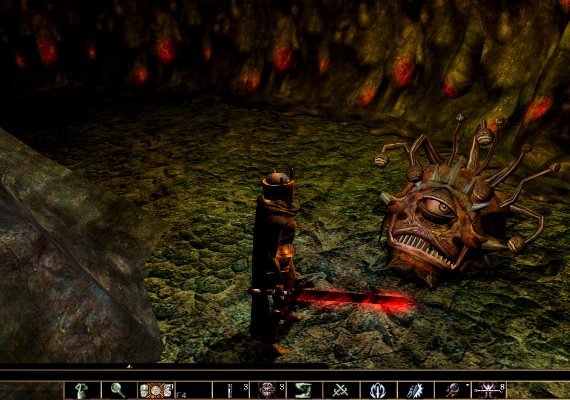 Neverwinter Nights Enhanced Edition EN/DE/FR/IT/PL/ES EU screenshot 3
