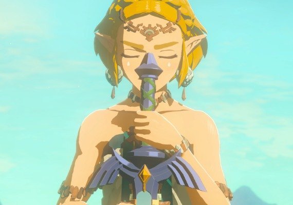The Legend of Zelda: Tears of the Kingdom EN EU screenshot 2
