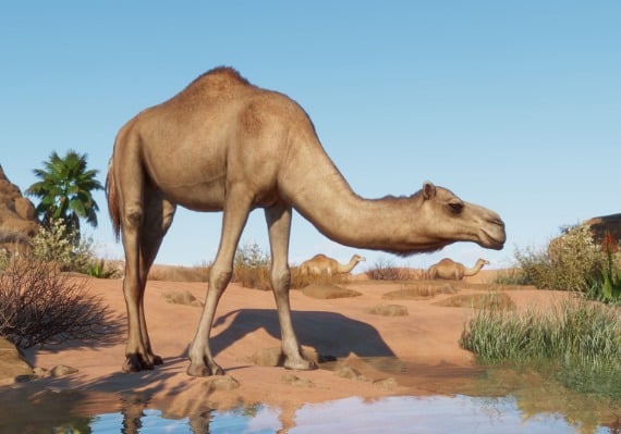 Planet Zoo - Arid Animal Pack DLC Global screenshot 2