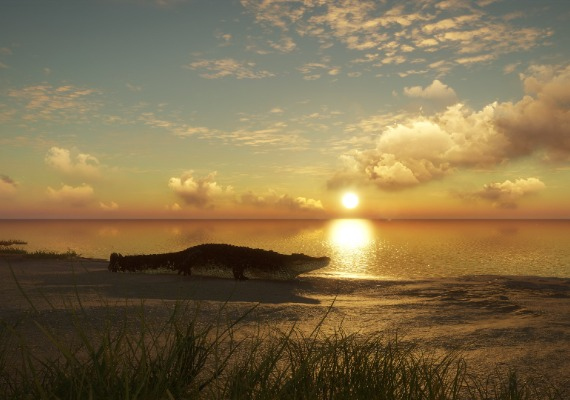 theHunter: Call of the Wild - Emerald Coast Australia DLC Global screenshot 3