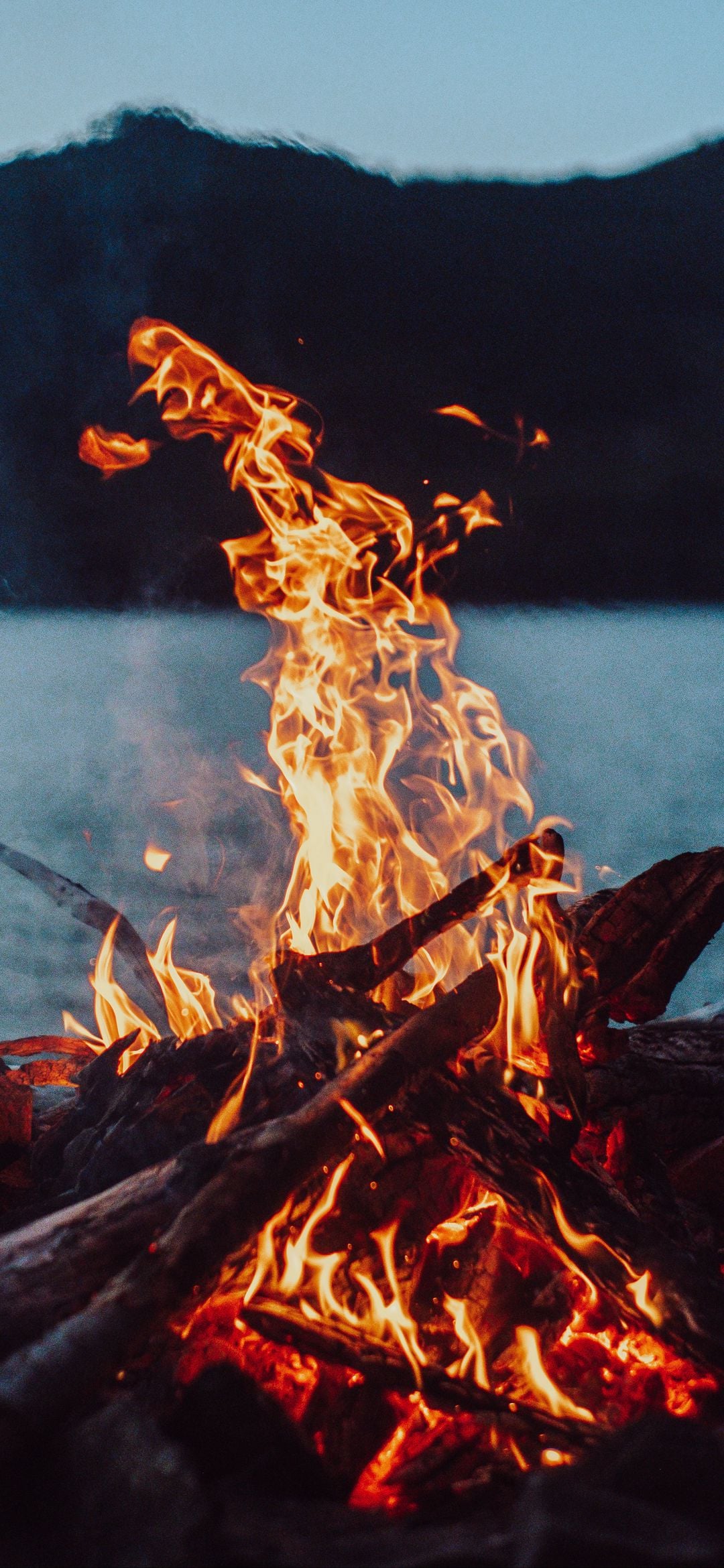 FireForge
