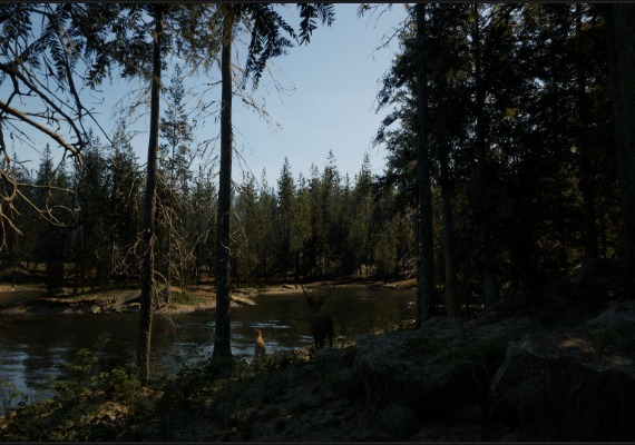 Evergreen: Mountain Life Simulator EN/DE/FR/IT/JA/RU/ZH/ES Global screenshot 2