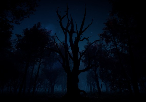 Slender: The Arrival 2023 EN Argentina screenshot 4