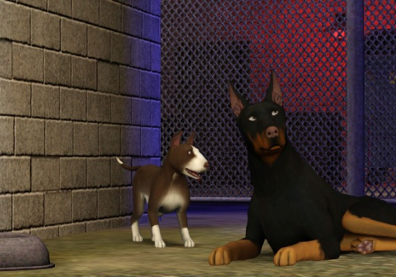 The Sims 3: Pets DLC EU screenshot 3