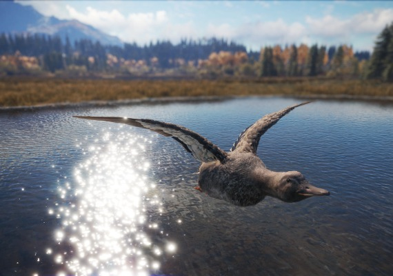 theHunter: Call of the Wild - Duck and Cover Pack DLC EN EU screenshot 2