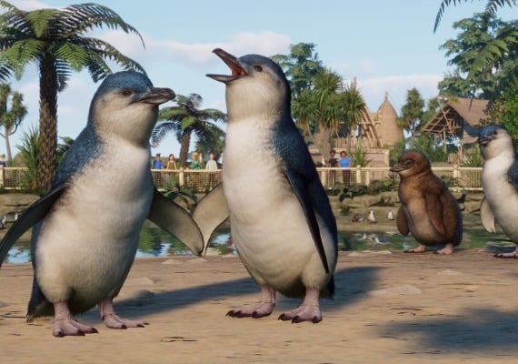 Planet Zoo - Oceania Pack DLC Global screenshot 2