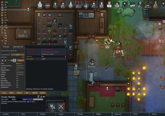 RimWorld - Starter Pack EU screenshot 2