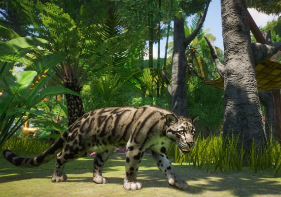 Planet Zoo Deluxe Edition EN United States screenshot 2