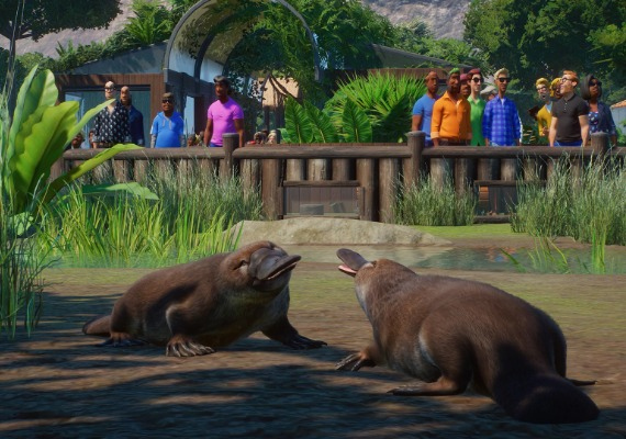 Planet Zoo Deluxe Edition EN United States screenshot 3