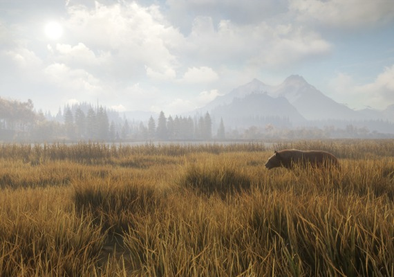 theHunter: Call of the Wild - Emerald Coast Cosmetic Pack DLC EN Global screenshot 3