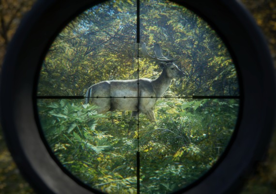 theHunter: Call of the Wild - Emerald Coast Cosmetic Pack DLC EN Global screenshot 4