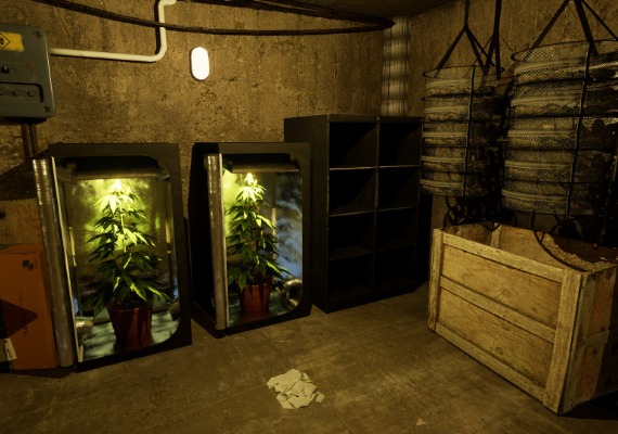 Drug Dealer Simulator 2 Global screenshot 3