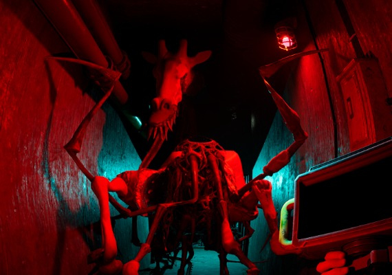 Zoochosis EN Global screenshot 2
