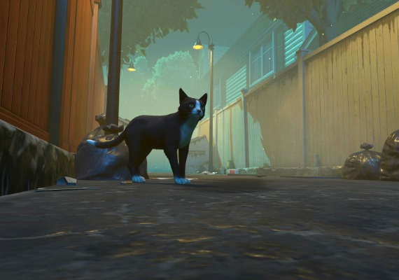 Copycat Global screenshot 2
