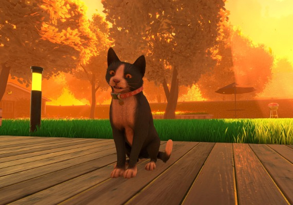 Copycat Global screenshot 3