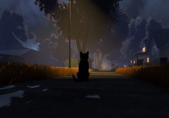 Copycat Global screenshot 4