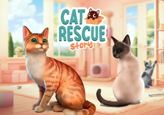 Cat Rescue Story EN Colombia