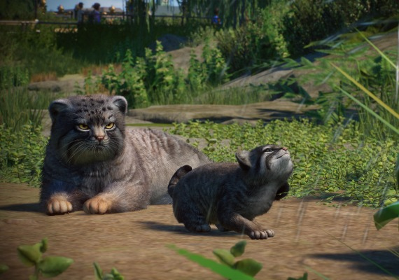 Planet Zoo - Zookeepers Animal Pack DLC Global screenshot 2