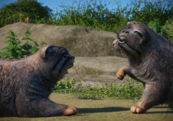 Planet Zoo - Zookeepers Animal Pack DLC Global screenshot 3