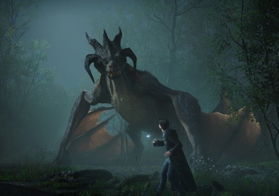 Hogwarts Legacy + Harry Potter: Quidditch Champions - Bundle Deluxe Edition EN EU screenshot 3