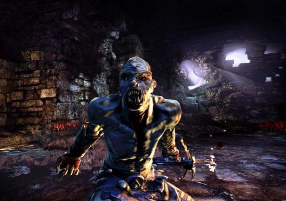 Hunted: The Demon's Forge EN/DE/FR/IT/ES Global screenshot 3