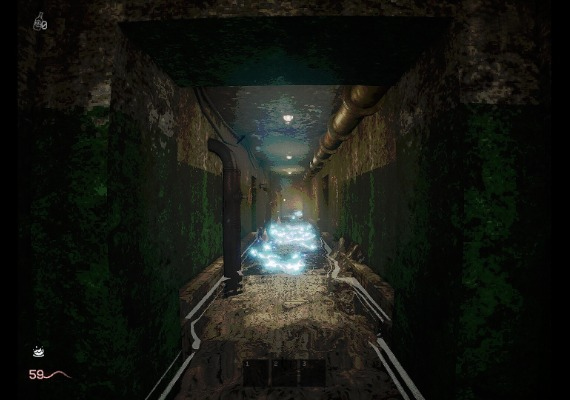 KLETKA Global screenshot 3