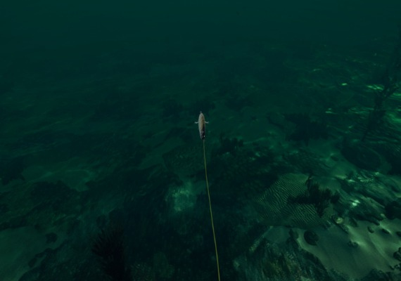 Ultimate Fishing Simulator - Florida DLC Global screenshot 4