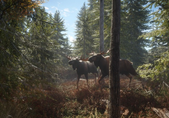 theHunter: Call of the Wild - Ultimate Hunting Bundle Global screenshot 2