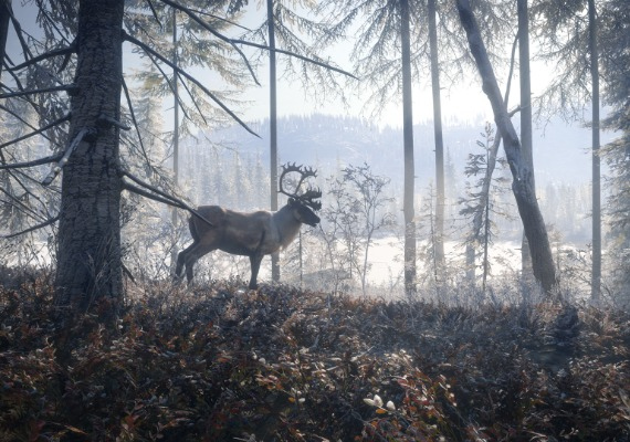 theHunter: Call of the Wild - Ultimate Hunting Bundle Global screenshot 3