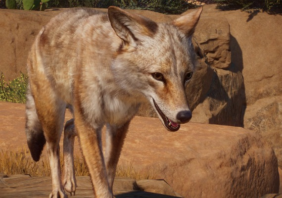 Planet Zoo - Americas Animal Pack DLC Global screenshot 2