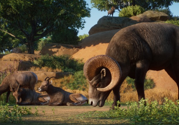 Planet Zoo - Americas Animal Pack DLC Global screenshot 3