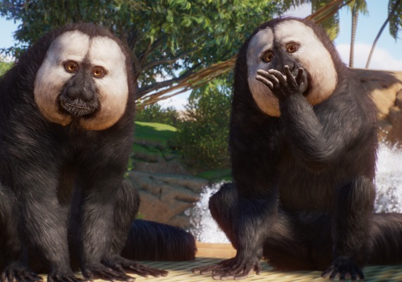 Planet Zoo - Americas Animal Pack DLC Global screenshot 4