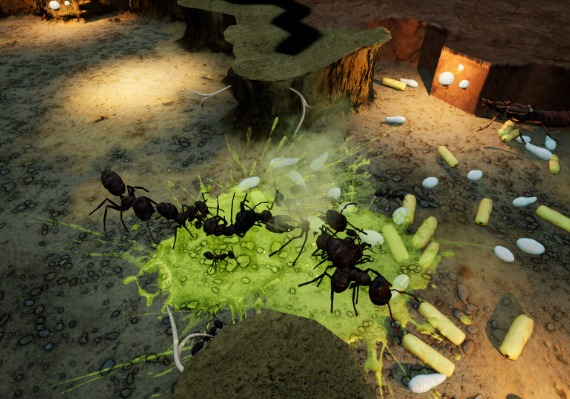 Empires of the Undergrowth - Exploding Ants DLC EN/DE/RU/ZH/ES Global screenshot 4
