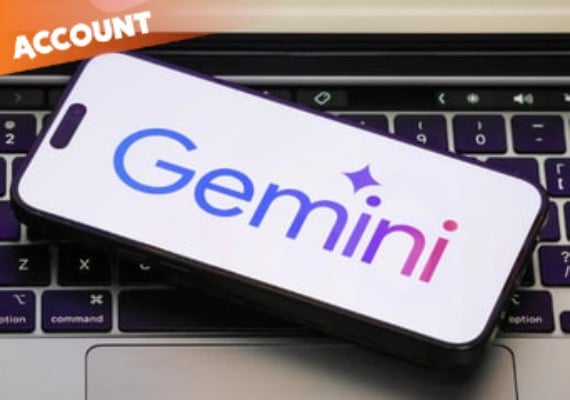 Gemini Pro 12 Months Account  Global