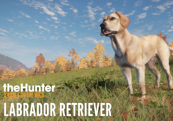theHunter: Call of the Wild - Labrador Retriever DLC EN