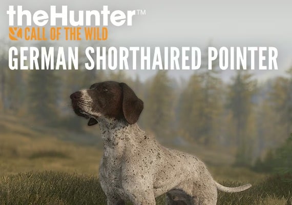 theHunter: Call of the Wild - German Shorthaired Pointer DLC EN Global