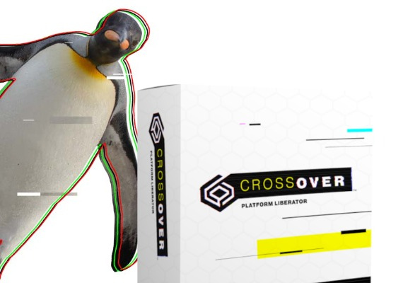 CrossOver MAC 1 Year 1 Dev EN